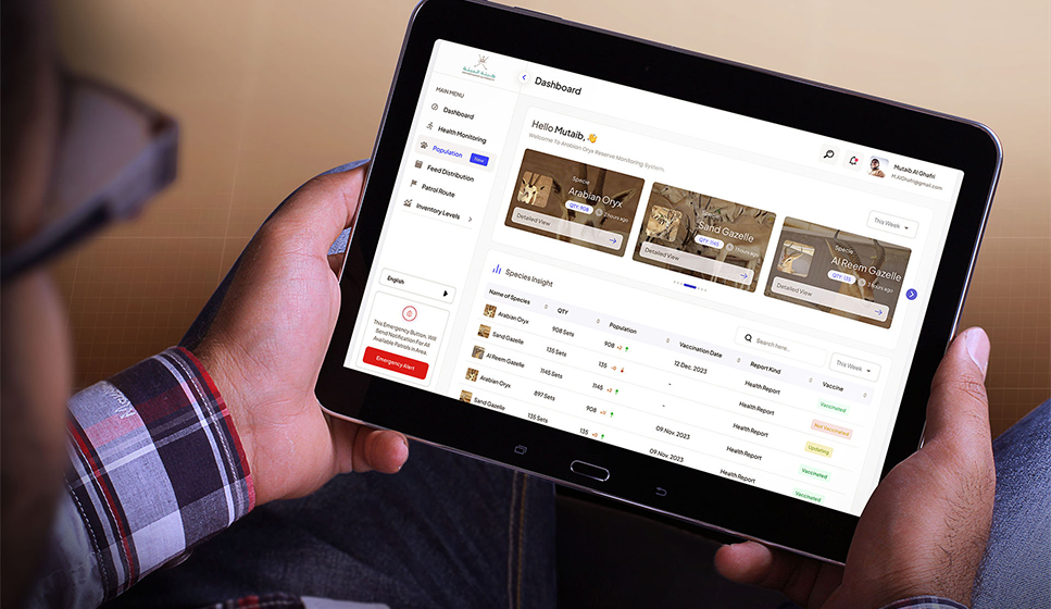 Oryx brand system and public site layouts
